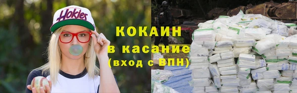 прущий лед Вяземский