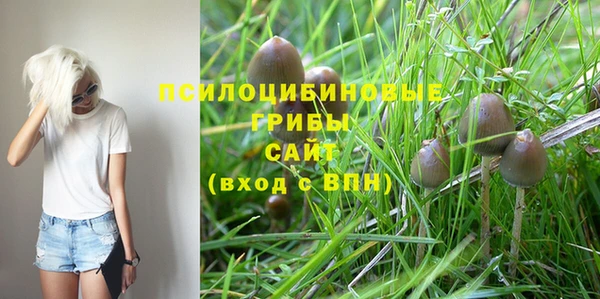амф Вязники