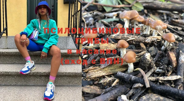 прущий лед Вяземский