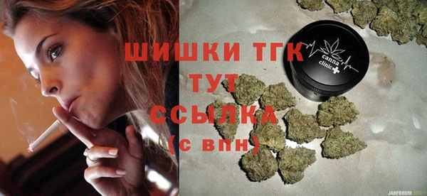 прущий лед Вяземский