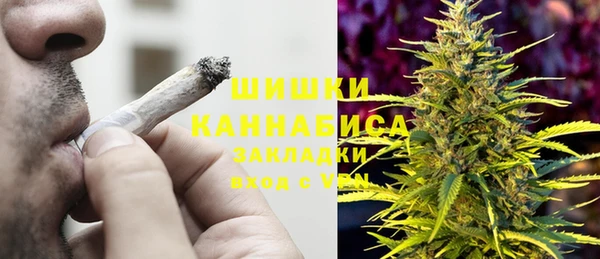 прущий лед Вяземский