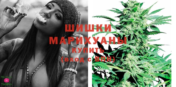 spice Вязьма